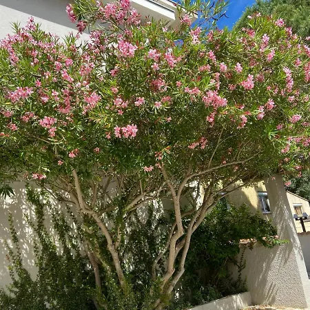 Szálloda Neptune 3*